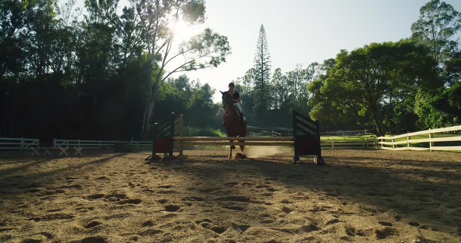 Woman rides horse in midjump over obstacle in outdoor arena with dust and sunlight filtering through trees