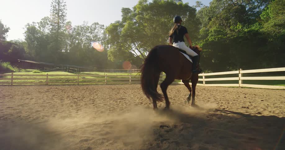 View of a person wearing riding attire atop a horse that is moving to the front on a dirt surface with a wooden fence and trees in the background all under a clear sky