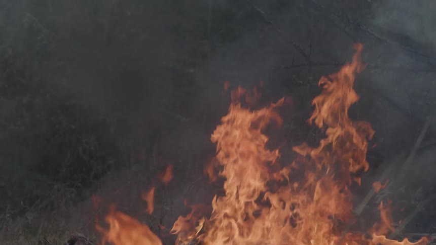 High flames consume materials in an open area surrounded by vegetation