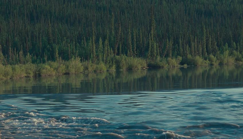 A body of water with active currents in the foreground transitioning to calmer surface water reflecting a dense tall line of coniferous trees filling the background