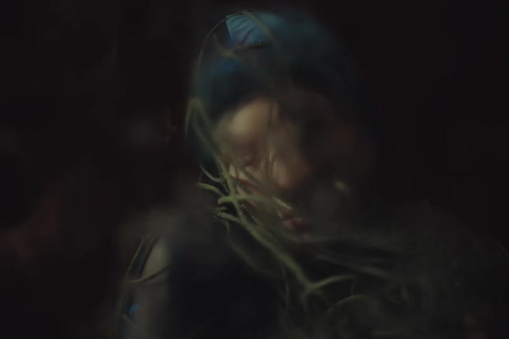 Person surrounded by branches appears amid dim light and soft tones