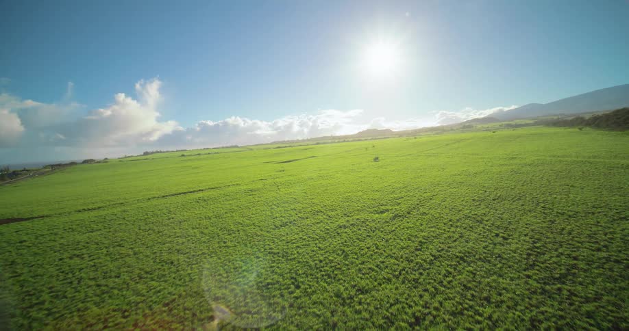 Green field under blue sky with faint tracks and mountains in the distance