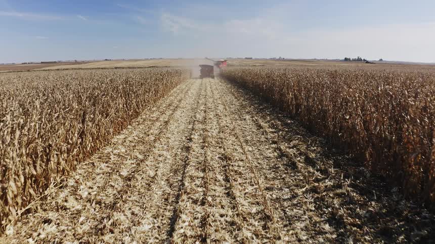 Farm vehicles moving through a path in an outdoor farm field during daytime