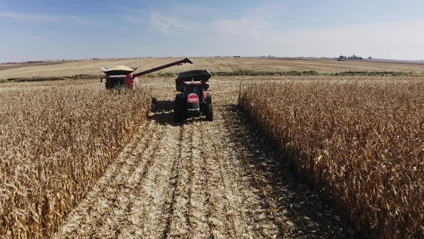 The tractor drives on the farm collecting crops