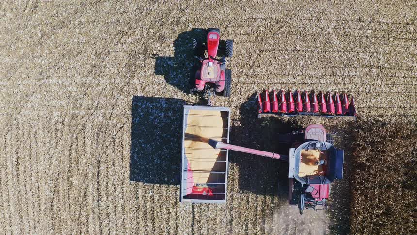 The tractor turns away from the trailer full of grain