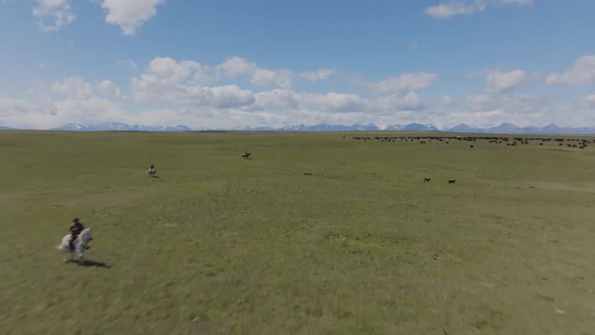 An aerial wide view shows cowboys riding horses and herding a large group of cattle across an open green prairie with distant snowy mountains under a blue sky with scattered white clouds