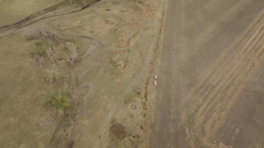 Herd of cattle gathered in a pen seen from above during farm handling