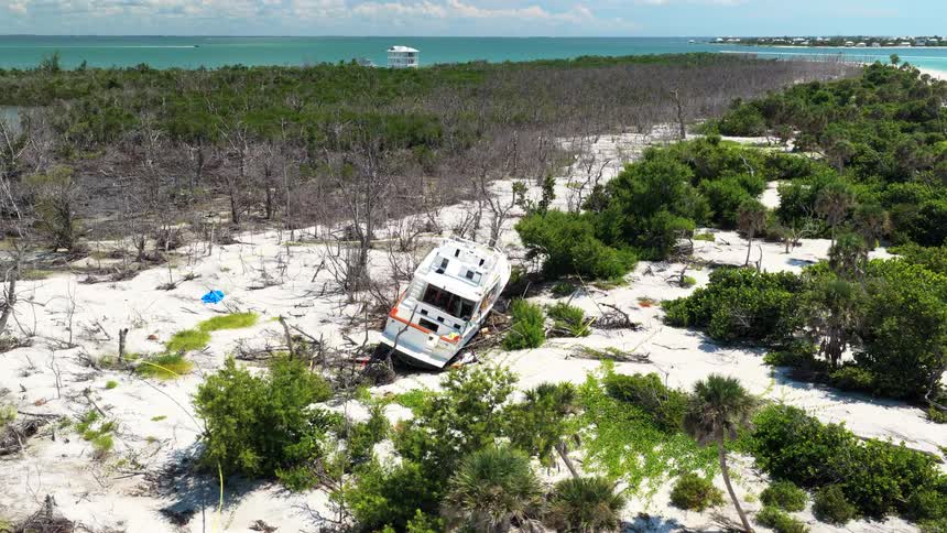 An aerial view of a stranded boat on a sandy area surrounded by mixed live and dead vegetation with open water and distant structures visible on the horizon
