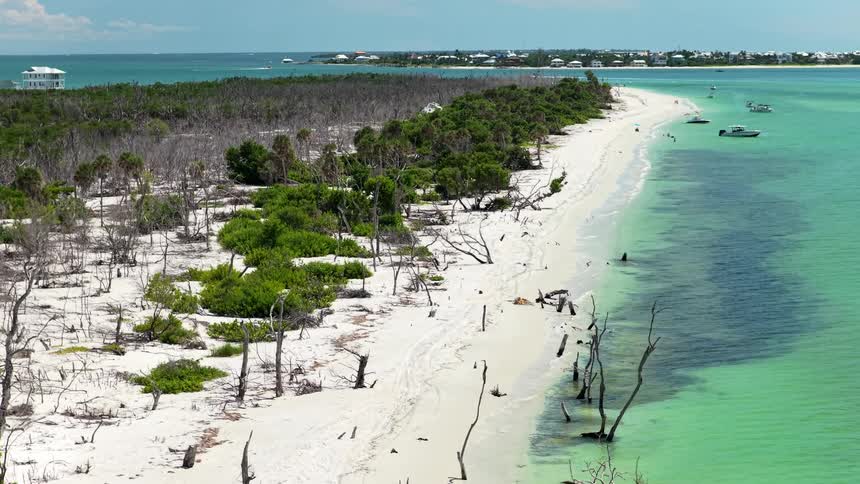 An aerial wide view shows a white sand beach lined with dead trees and green shrubs separating bright turquoise water from the island with distant houses visible on the horizon