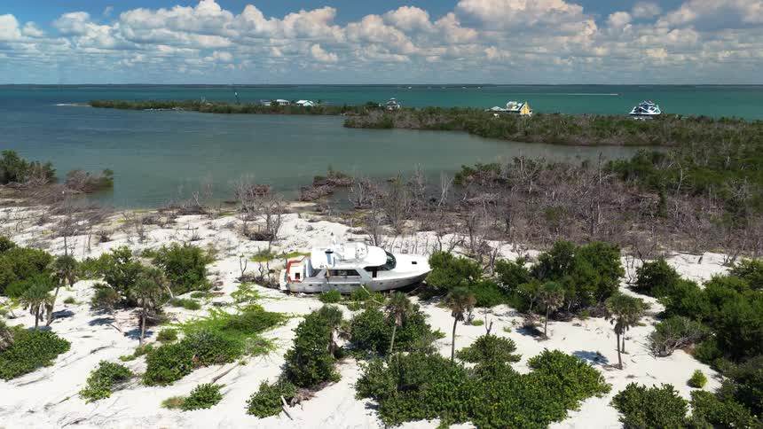 An aerial view shows a large white yacht severely beached on a sandy shoreline surrounded by dead trees and low green shrubs with a bay and distant waterfront homes visible under a blue sky with white clouds