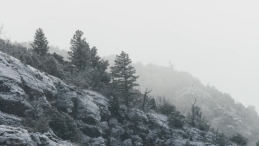 A wide view shows thick snow falling and covering pine trees and dark rocky mountain slopes in a cold misty winter landscape