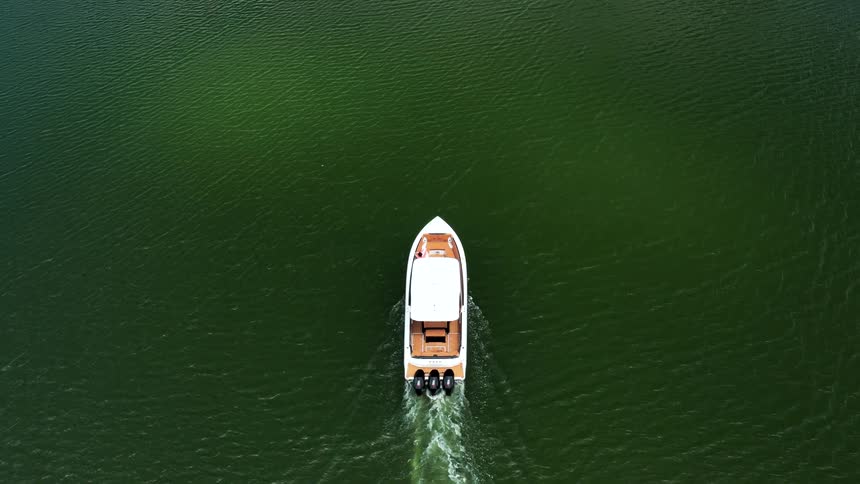 Speedboat moves across green waters leaving a gentle wake behind