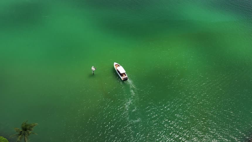An overhead aerial view shows a small white motorboat slowly turning in clear emeraldgreen tropical water near a palm tree and the shoreline on a sunny day