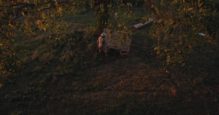 Person painting canvas leaning against tree in grassy area during late afternoon