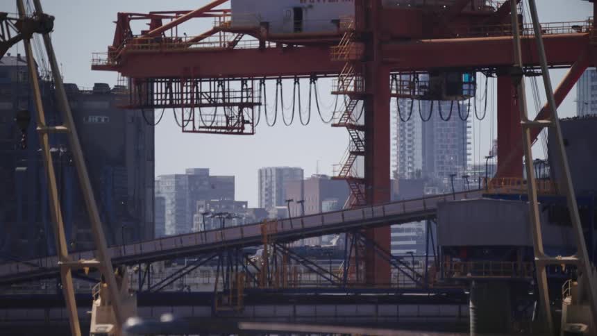Birds fly over the large moving ship