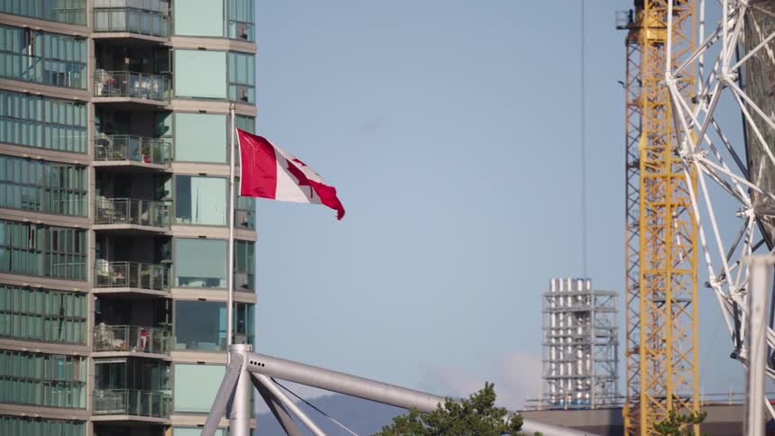 With a residential building and construction crane in the background a canadian flag waves on a flagpole as birds fly past