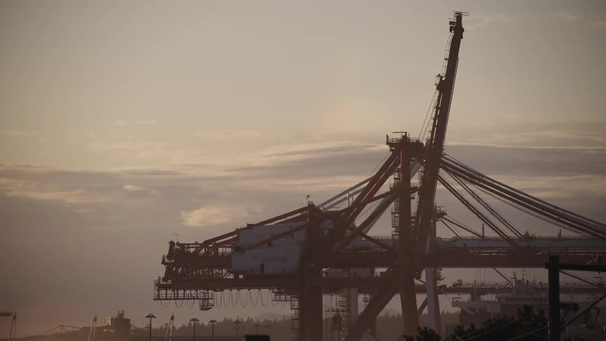 Birds fly over the crane at sunrise