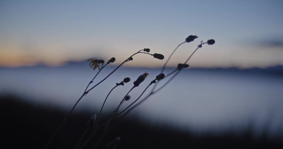 The person runs by the grass near the lake