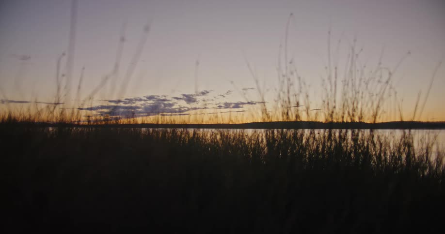 The run rises on the lake
