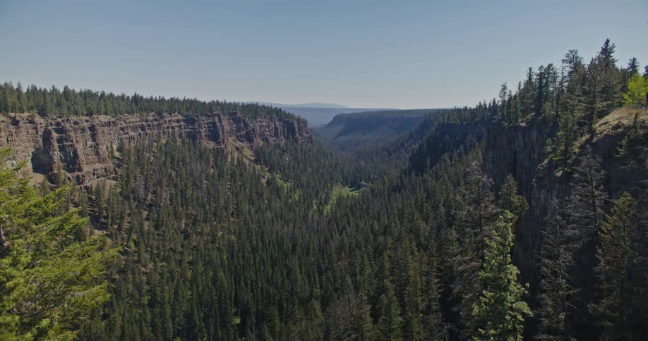A wide static shot overlooks a deep treefilled valley with steep rocky cliffs under a clear blue sky