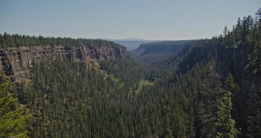 A deep tree lined canyon extends under a clear blue sky on a sunny day
