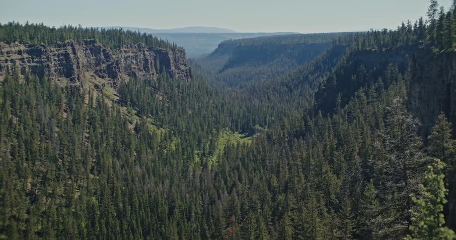 A vast evergreen valley unfolds below steep ridges dappled with midday sun and deep shadows