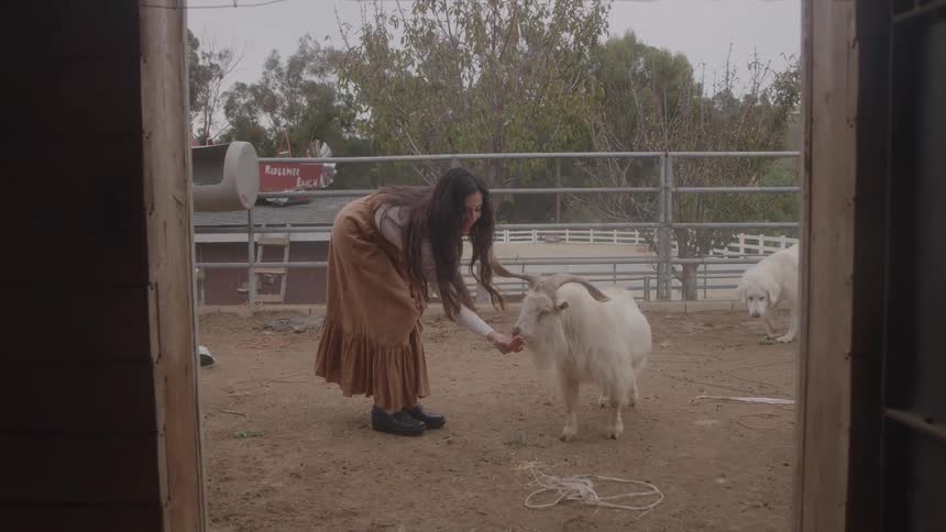 Female farmer feeds and plays with a goat in a barn