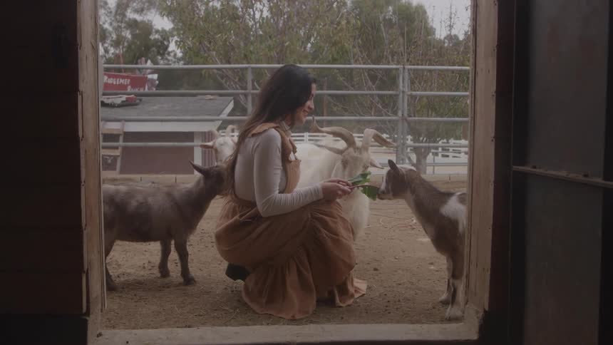 A young woman with long dark hair kneels in a brown dress while feeding white and brown goats in a pen framed by the wooden doorway of a barn or shed