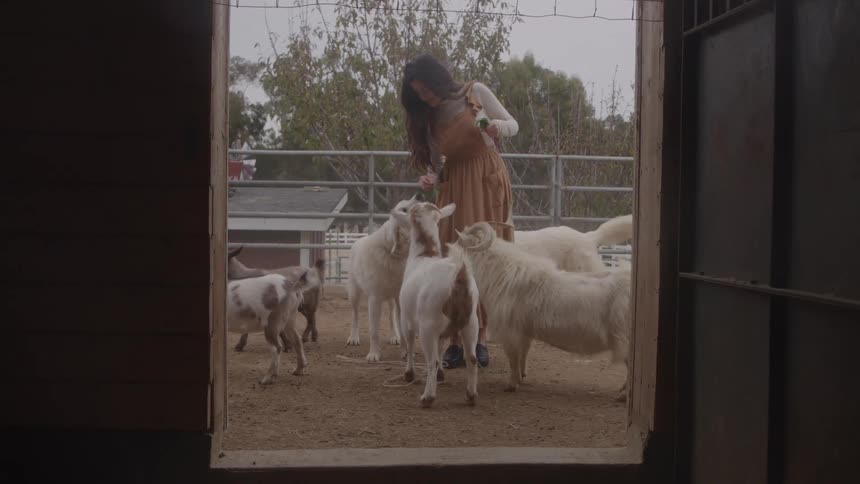 A woman pets her goats and dogs in a fenced in area on a farm