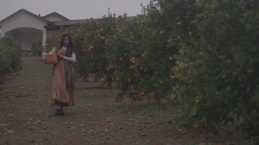 A woman with long hair wearing a long dress and carrying a woven basket walking on a dirt path between rows of orangeladen trees toward the camera with a lowslung house in the background