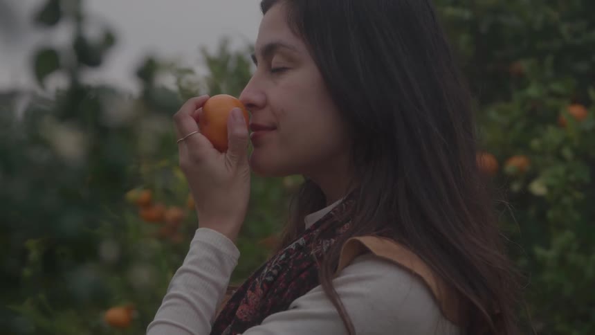 A woman stands in an orchard and smells an orange