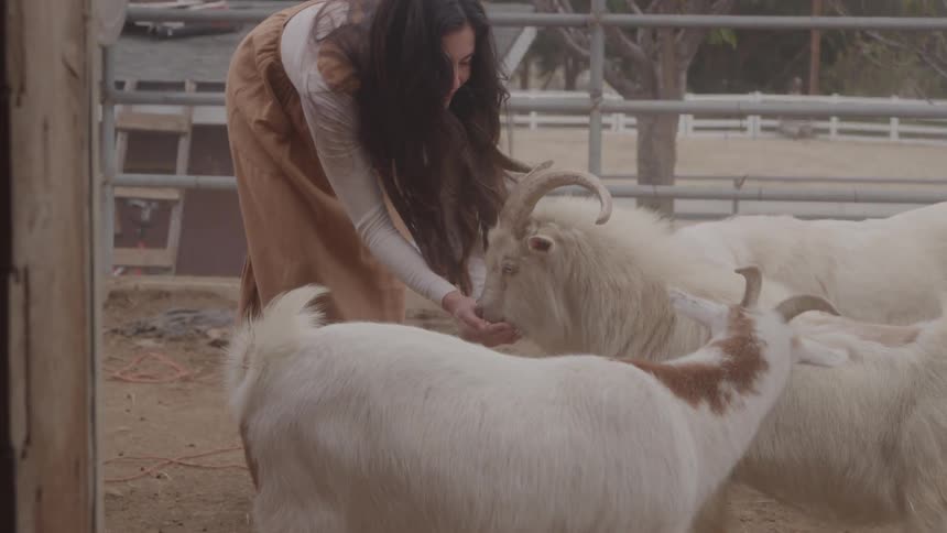 A woman hand feeds goats and a dog in a fenced in farm area