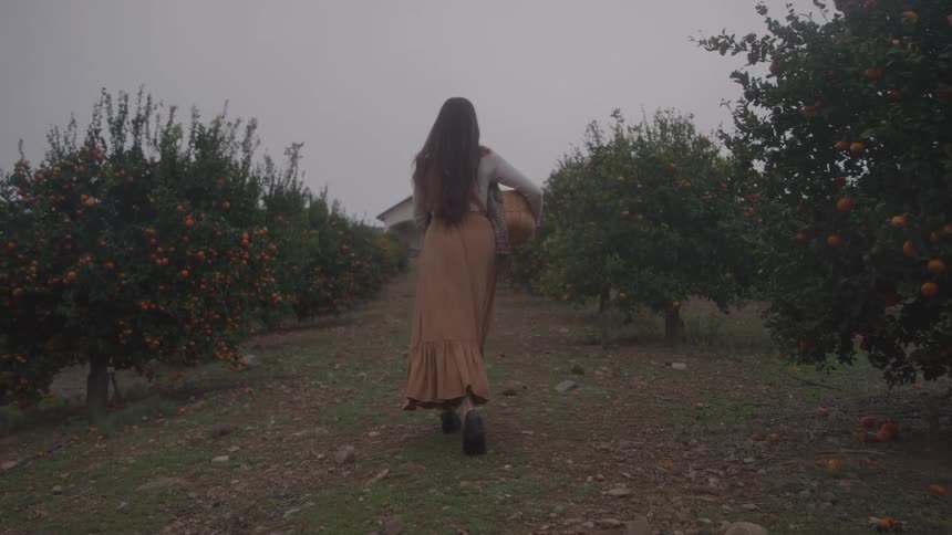 A young woman walking through an outdoor fruit garden while carrying a basket during daytime