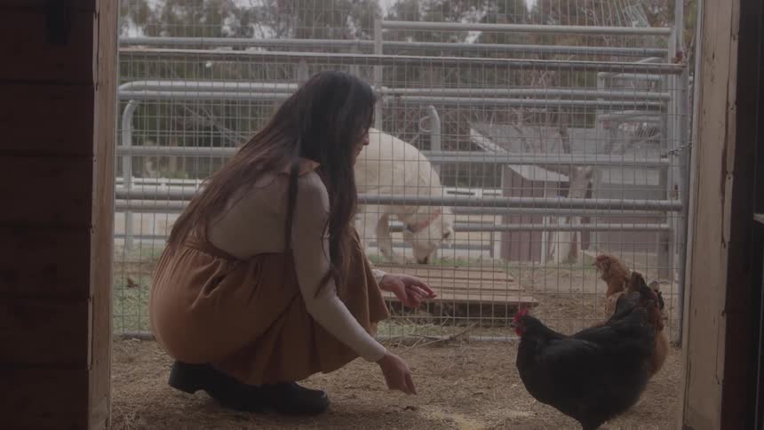 Woman feeds a chicken in a barn doorway with a dog nearby