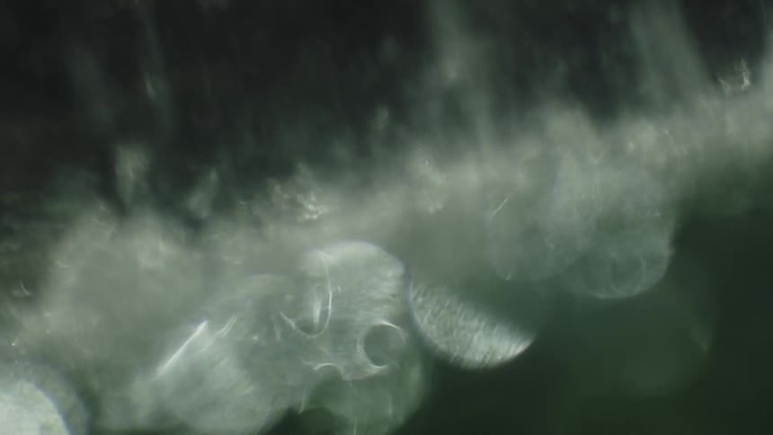 Water droplets in motion creating a misty effect