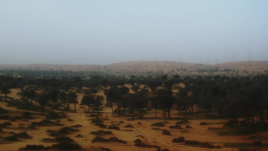 Arid landscape with sparse vegetation under a cloudy sky