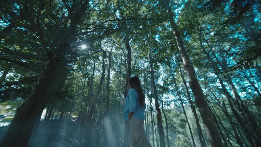 A wideangle lowangle shot captures a woman standing still in a forest or park gazing up toward the canopy of tall trees sunlight filters through the leaves creating dramatic rays of light and a misty atmosphere around her