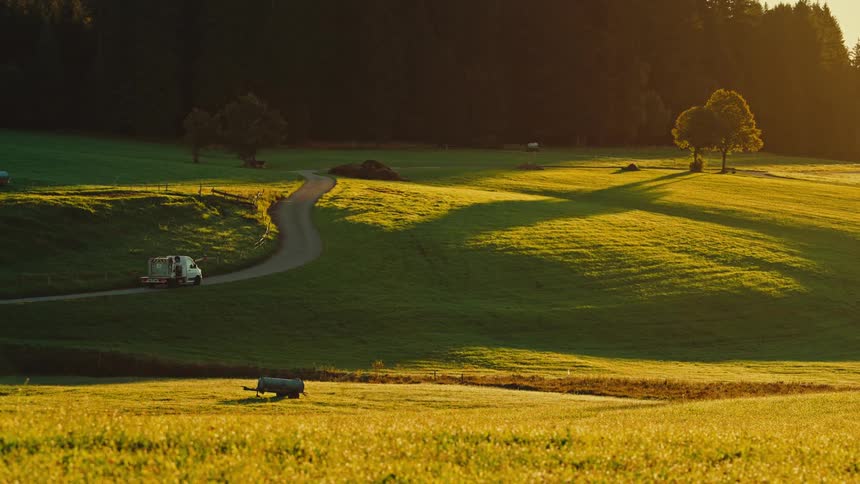 Winding path crossing a green field bathed in the golden light of sunset