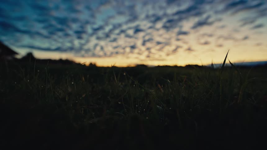 A very lowangle shot captures a dark dewcovered field or meadow during sunset or sunrise above the silhouetted grass a streaky cloudy sky glows with vibrant blue orange and gold colors