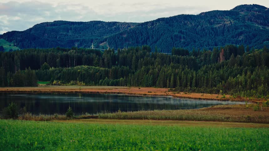 A dark reflective lake bordered by tall brown grasses and a dense forest of dark evergreen trees with forested mountain slopes filling the background beneath a muted overcast sky all viewed over a foreground of bright green grass