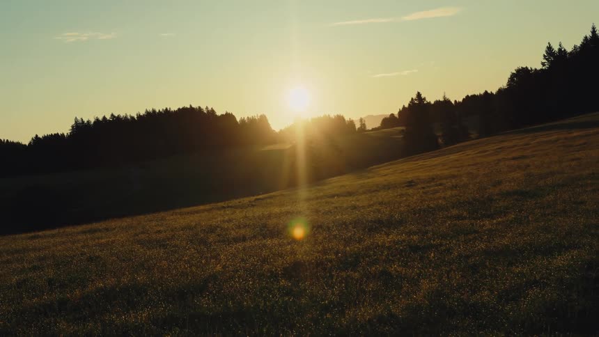 Open field lit by the setting sun behind the trees