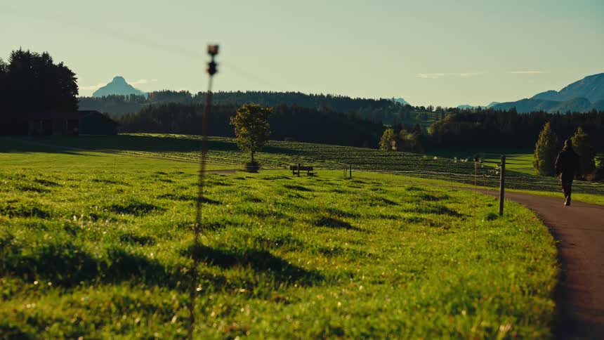 Person walking along a road surrounded by green fields at sunrise