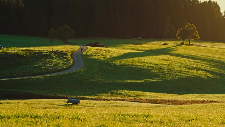 A bright long shot captures a scenic grassy hillside in the golden light of a late afternoon or sunrise a small winding dirt road or path cuts across the hill and a dark forest forms the backdrop casting long shadows across the