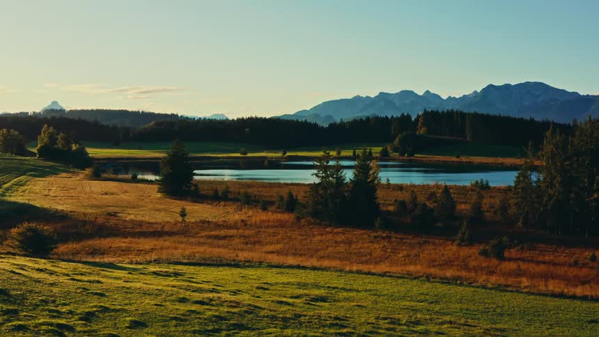 Golden vegetation surrounds calm lake before mountains under clear sky