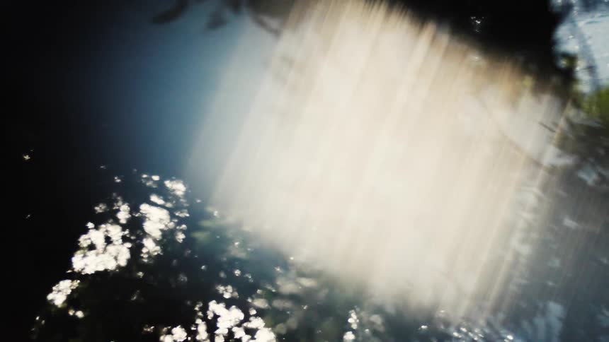 The sun shines through the branches and reflects on the water