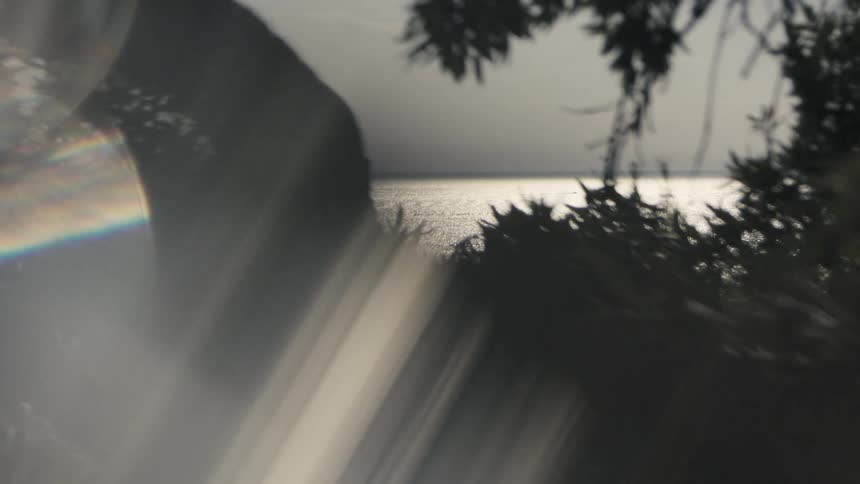 A highcontrast view of a water horizon is obscured by the dark silhouettes of leaves and dominated by large bright light flares with rainbow refraction and vertical streaking