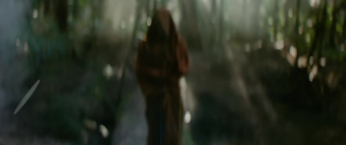 Hooded person in a forest illuminated by beams of light