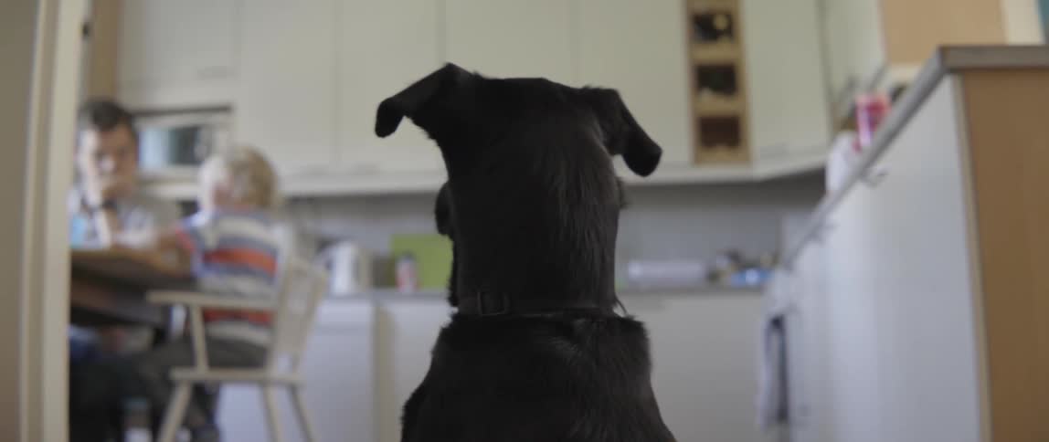 A black dog watches from behind as a family enjoys a meal together.
