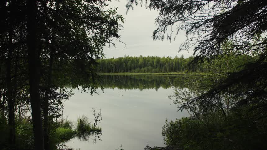 The video shows a still shot of a calm secluded lake surrounded by dense dark forest on a cloudy day the trees on the far bank are perfectly reflected in the tranquil water