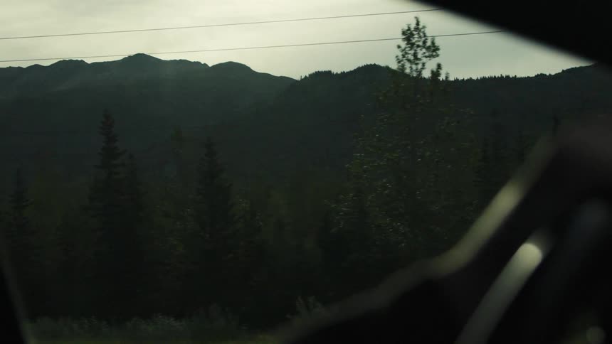 Hills and trees seen from the window of a vehicle during day time